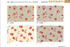 石家庄炫彩-图册10