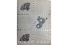 石家庄YX14-TO38 水果蜜柚